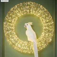 Crawford Parrot 70cm