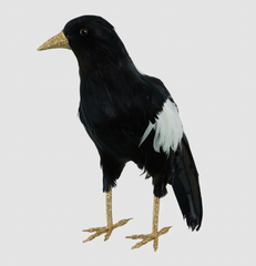 Large Magpie Decoration