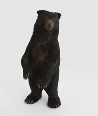 Fudge Bear 80cm