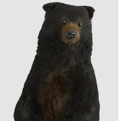 Fudge Bear 80cm