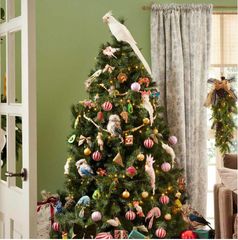Crawford Parrot 70cm